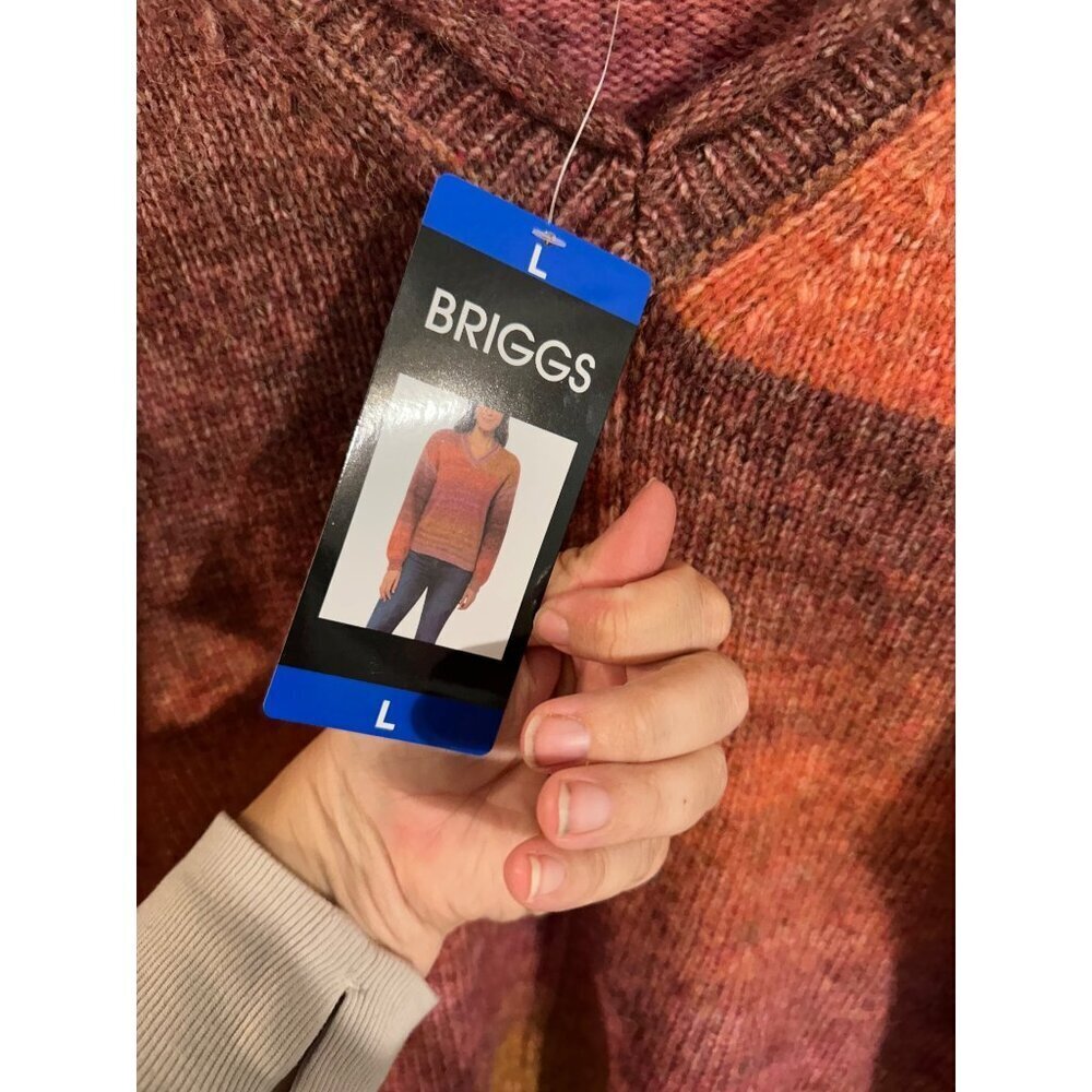 Y NWT Briggs Cozy Vneck Ombré watercolor Long Sleeved Poly/wool Knit Sweater - Picture 7 of 10